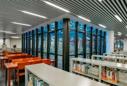 Kaszinó Lion Wins Mobilalkalmazás